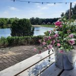 WhatsApp Image 2022-05-25 at 3.09.46 PM